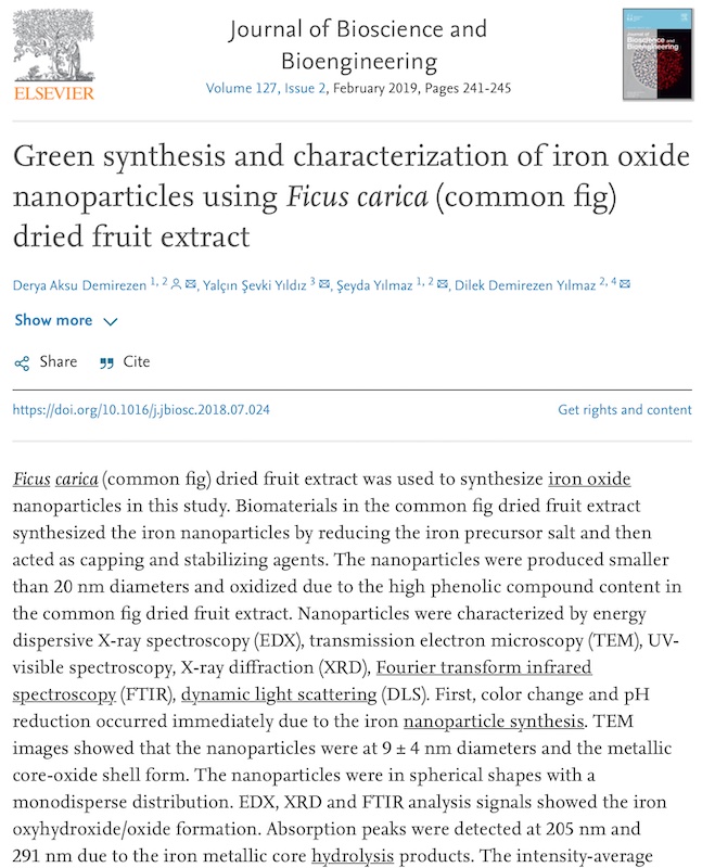 Green synthesis and characterization of iron oxide nanoparticles using Ficus carica (common fig) dried fruit extract