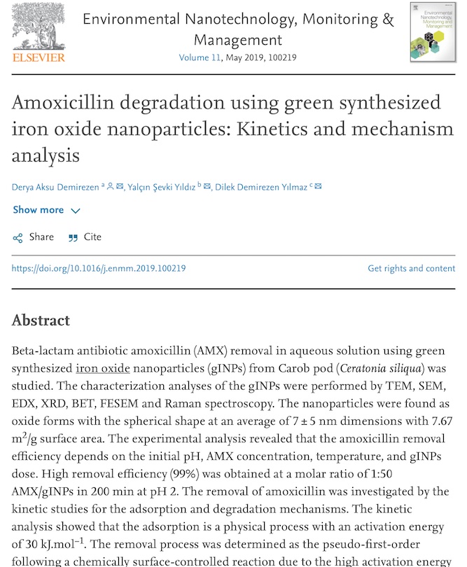 Amoxicillin degradation using green synthesized iron oxide nanoparticles: Kinetics and mechanism analysis